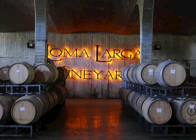 Loma Larga Vineyard, Casablanca