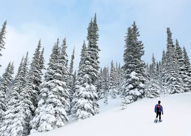 Snowshoe tour on The Medicine Trail, Whistler