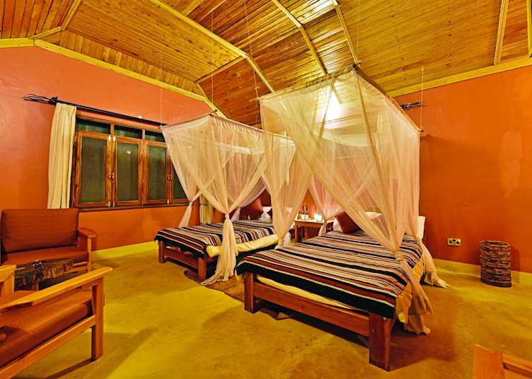 Standard room at Primate Lodge 