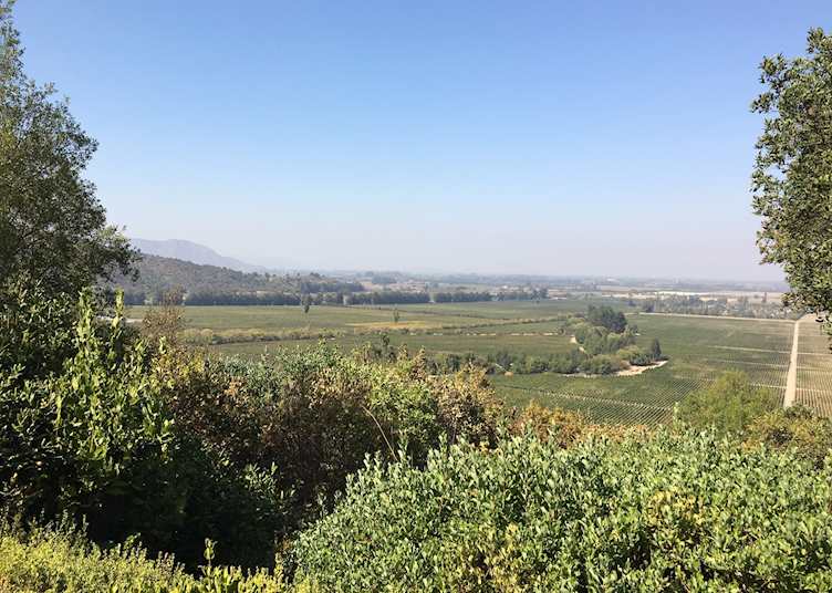 View from Clos Apalta