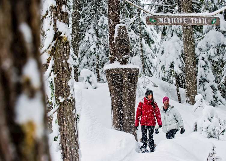 Snowshoe Tour on The Medicine Trail, Whistler