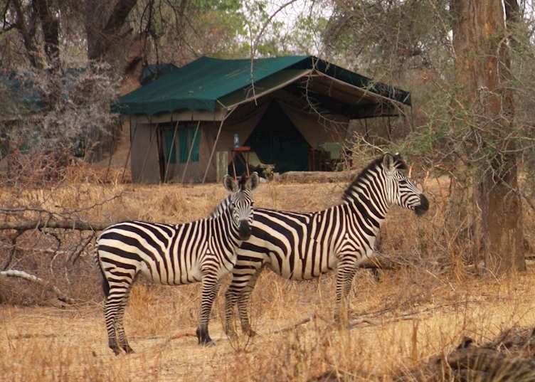 Mdonya Old River Camp, Ruaha National Park