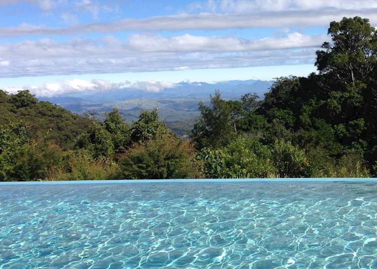 Infinity Pool at O'Reilly's Rainforest Guesthouse