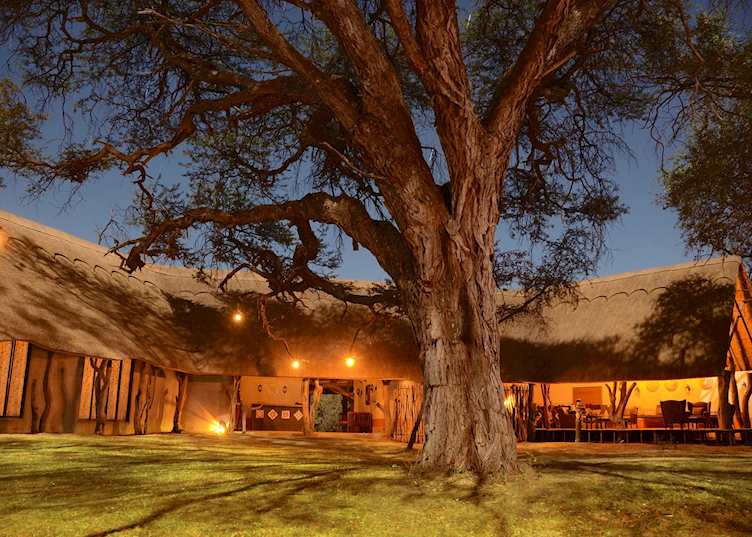 Camelthorn Lodge, Hwange National Park