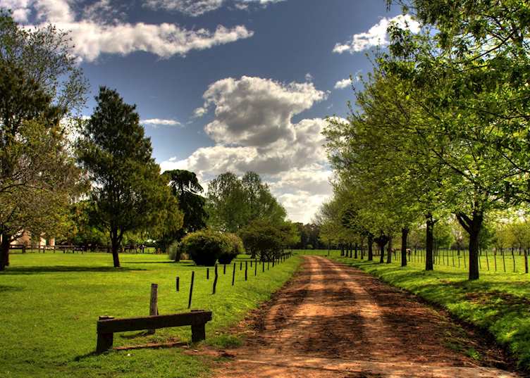 Estancia El Ombu