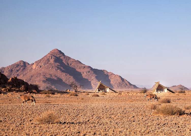 Oryx at Desert Quiver Camp