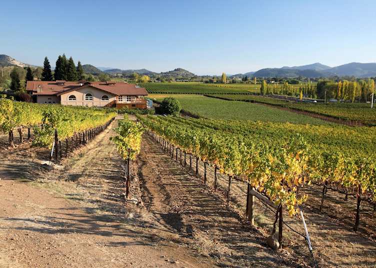 Napa Valley vineyards
