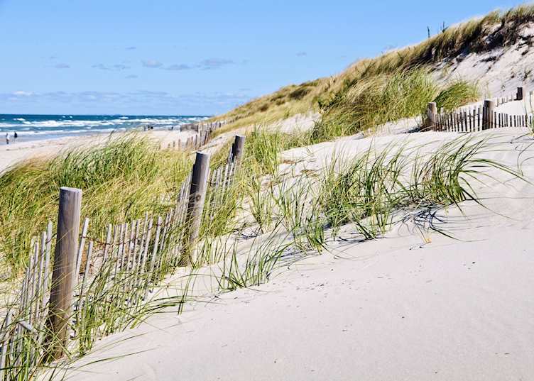 A Cape Cod beach