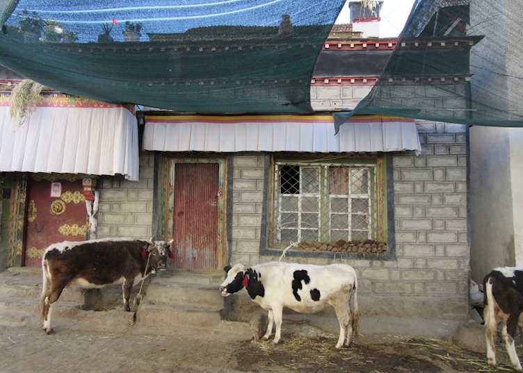 Gyantse's Old Town