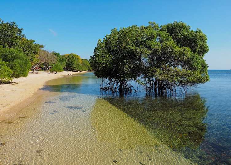 Beach, The Menjangan, Bali Barat