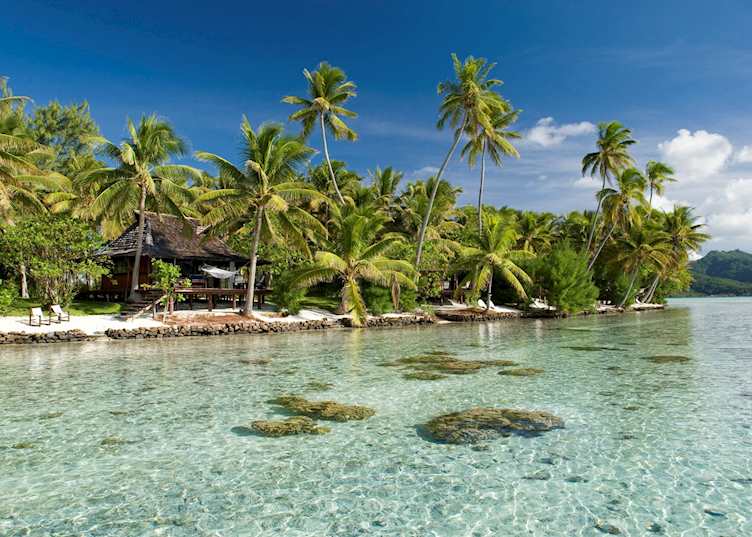 Vahine Island Resort