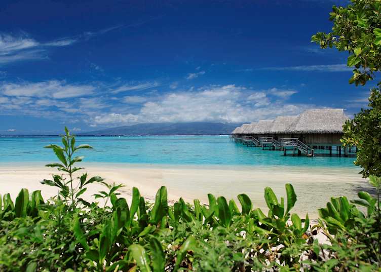 Beach, Sofitel Moorea Ia Ora Beach Resort, Moorea