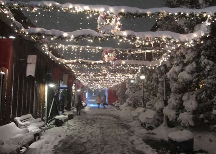 Hakodate path in Winter