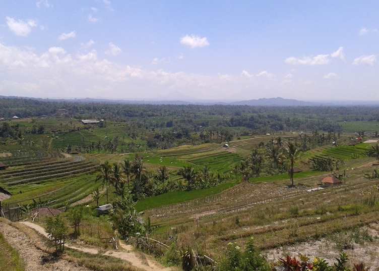 Jatiluwih Ubud