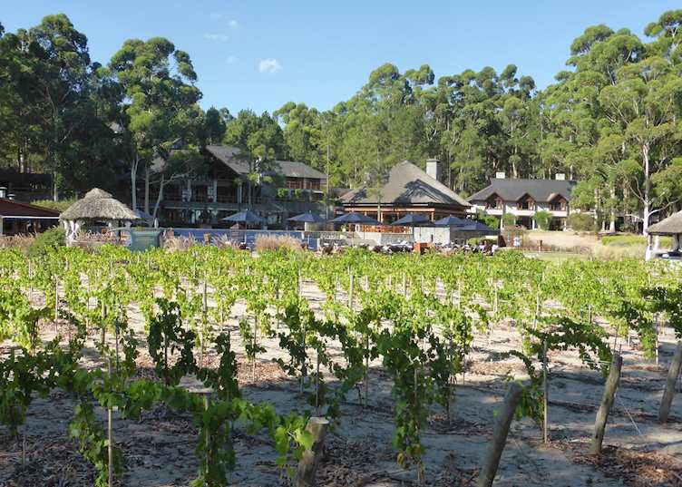Hyatt Hotel Carmelo as seen from its vineyards