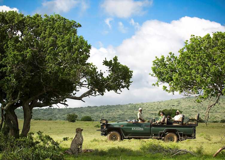 Game drive at Kwandwe Ecca Lodge