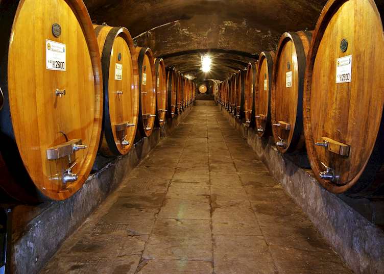 Historic wine cellar, Badia a Coltibuono, Gaiole in Chianti