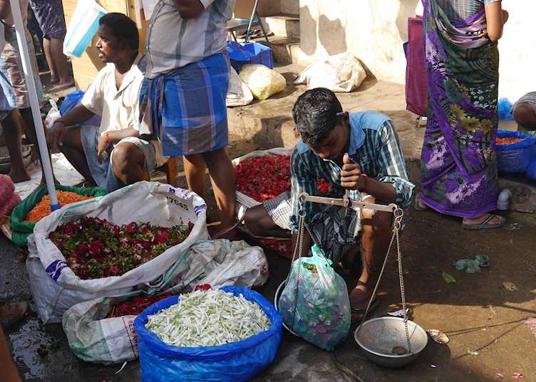 Visiting the flower market where flowers are sold by weight
