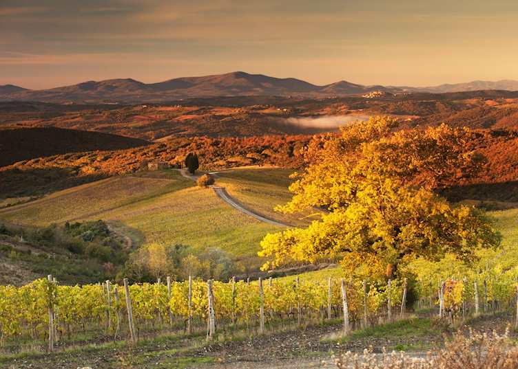 Rosewood Castiglion del Bosco, Montalcino