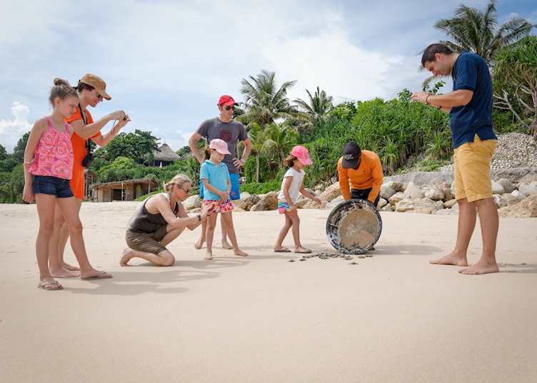 Releasing baby Turtles, Nihiwatu Resort, Pantai Nihiwatu