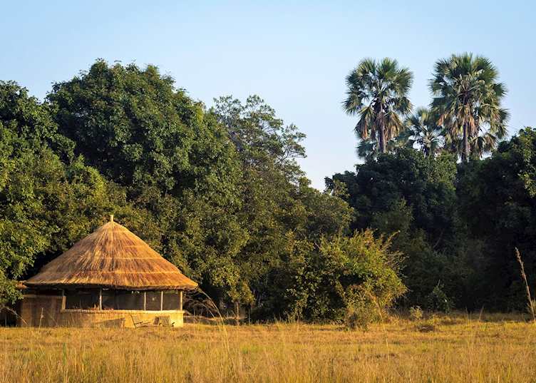 Kuyenda Bushcamp, South Luangwa National Park
