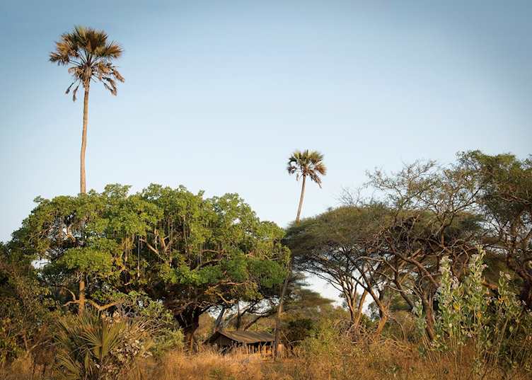 Chada Camp, Katavi National Park