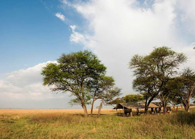 Nomad Serengeti Safari Camp, Serengeti National Park
