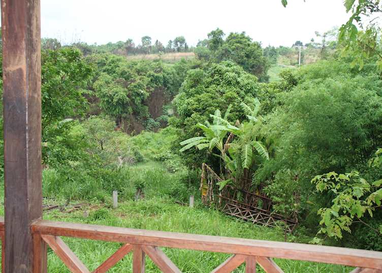 View from the picnic platforms