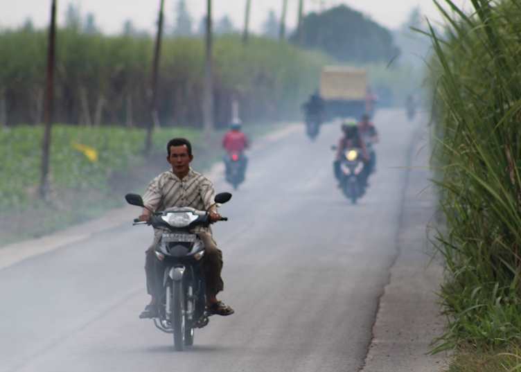 Scenery outside of Medan, local roads through tobacco plantations, Sumatra