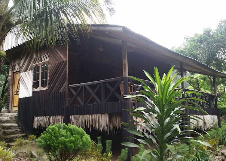 Jungle Lodge, Tangkahan, Sumatra