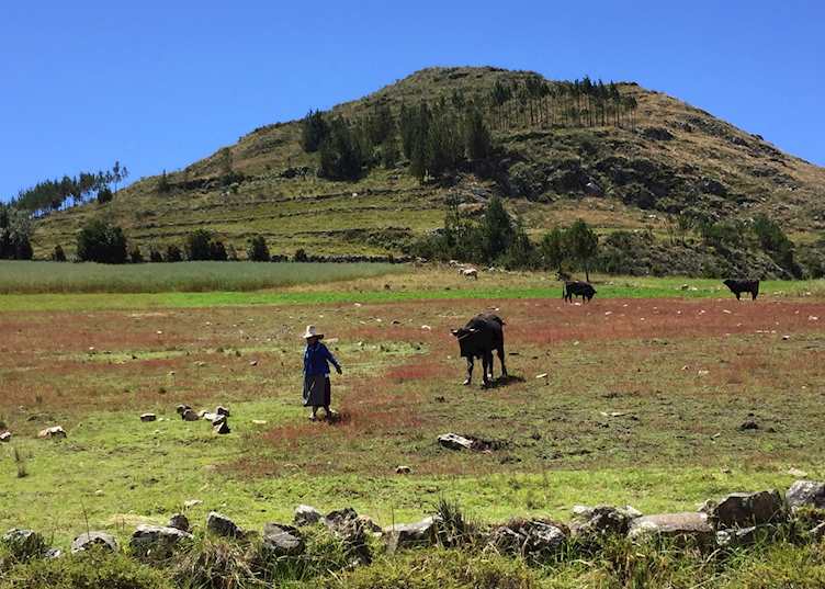 Local farming lady, Cumbemayo, Cajamarca