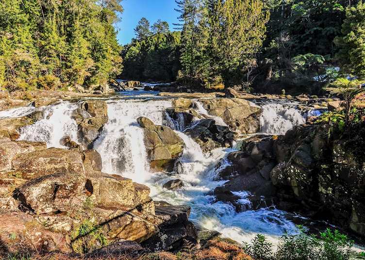 Waterfall in the Coromandel Peninsula
