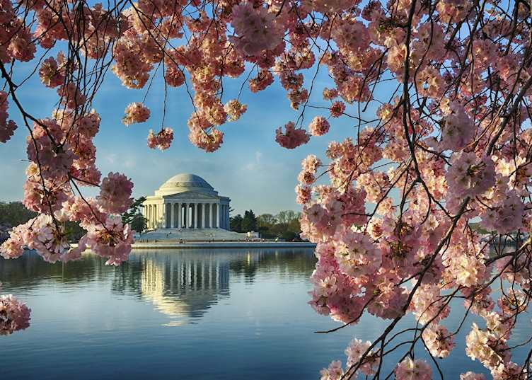 Washington D.C.