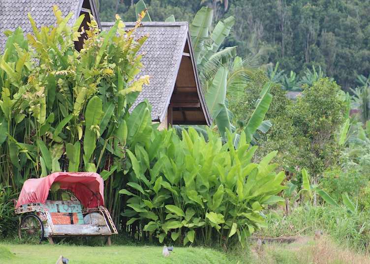 Grounds of Sanak Retreat