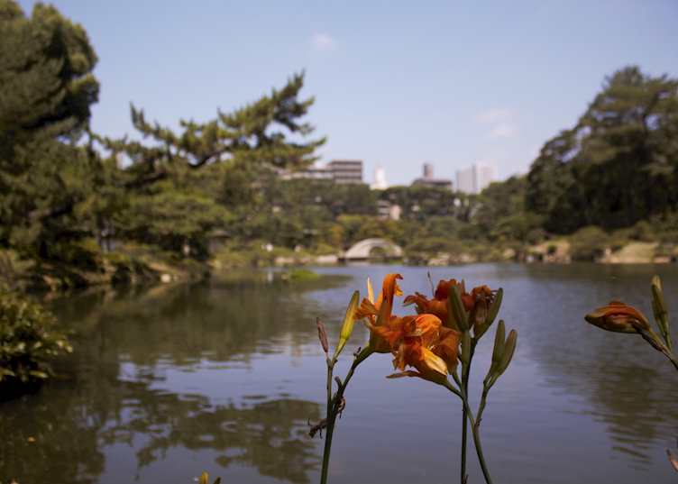 Hiroshima Prefectural Art Museum Gardens, Hiroshima