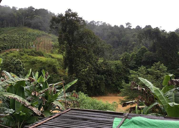 View from the Iban Longhouse