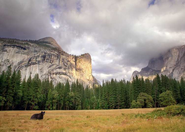Yosemite National Park, California