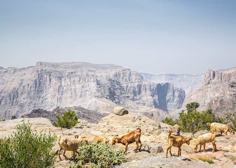 View from One bedroom cliff pool villa, Anantara Al Jabal Al Akhdar Resort, Jebel Akhdar