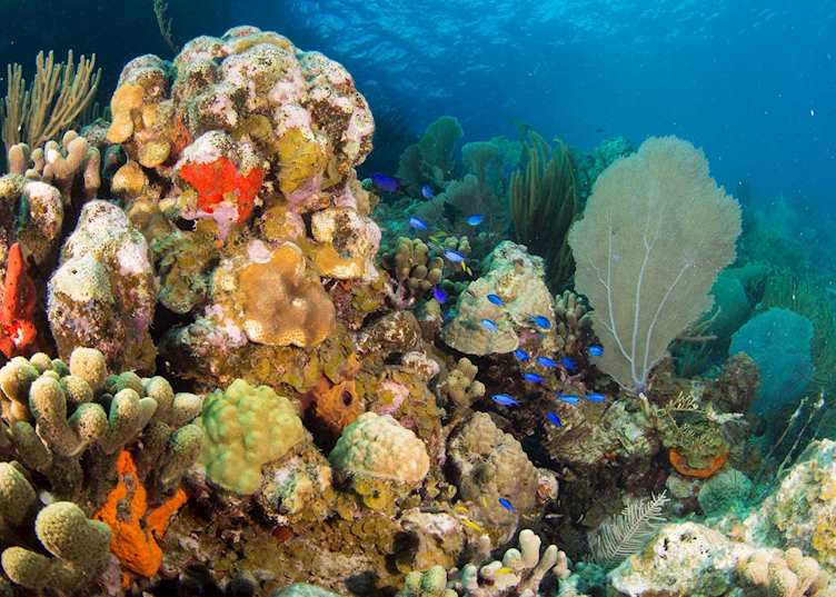 British Virgin Islands