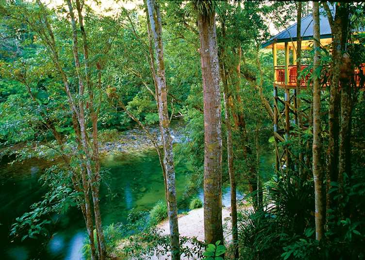 Silky Oaks, Daintree & Cape Tribulation