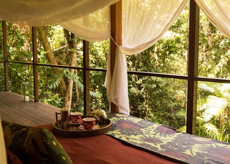 Silky Oaks, Daintree & Cape Tribulation