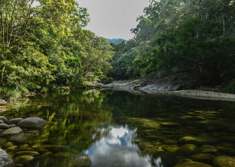 Silky Oaks, Daintree & Cape Tribulation