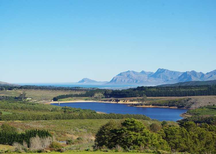 The Hemel-en-Aarde Wine Valley, Hermanus