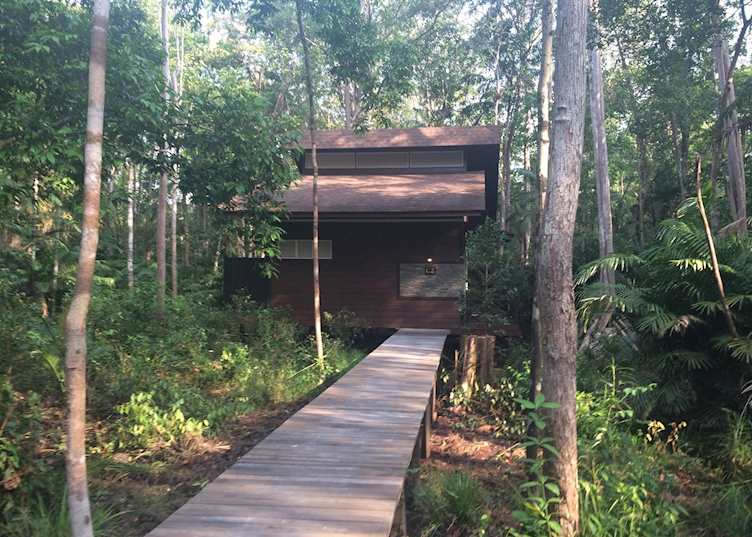 Chalets, Kinabatangan Wetlands Resort, Kinabatangan River