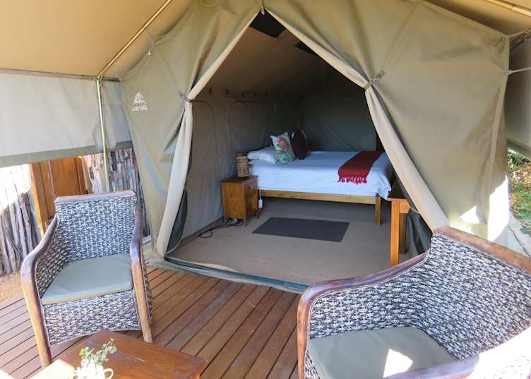 Amakhala Woodbury Tented Lodge, Eastern Cape Game Areas