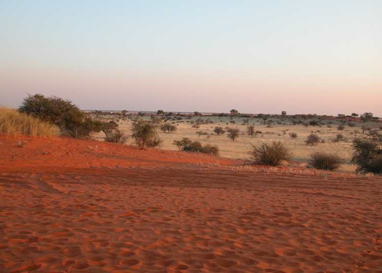 Kalahari Dunes, Southern Namibia