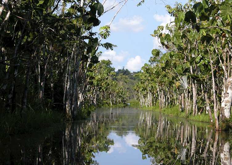 Pilchacocha Lake, Sacha Lodge