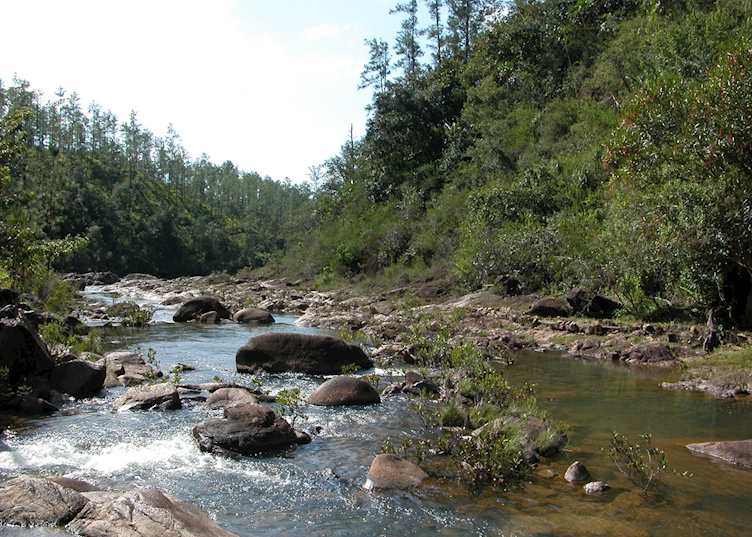 Mountain Pine Ridge, Belize
