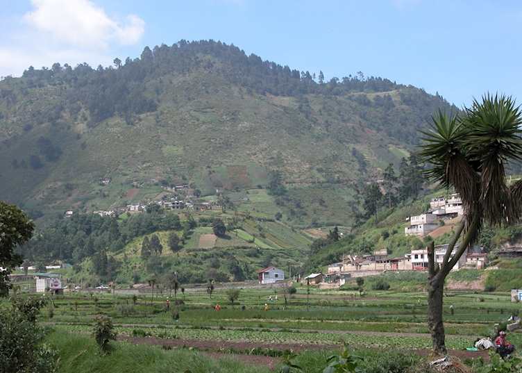 Fertile Highlands, near Quetzaltenango