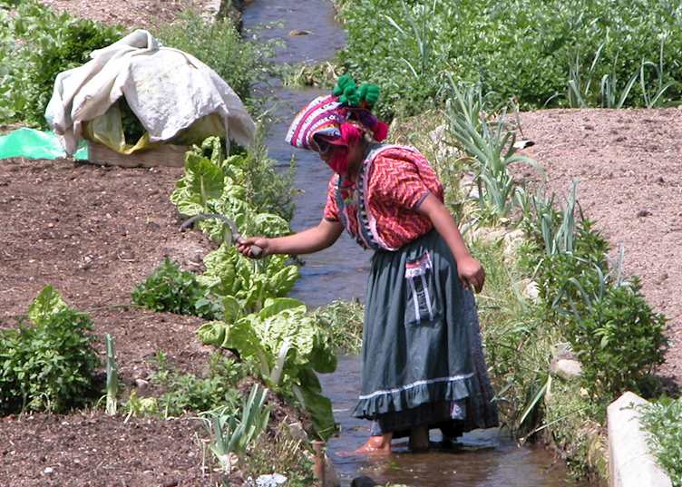 Fertile Highlands, near Quetzaltenango